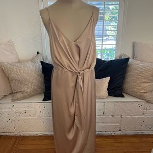 Shona Joy Champagne Color Dress
